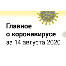 Запрет мероприятий в школах и массовая вакцинация зимой: главное о коронавирусе за 14 августа