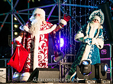 В России предлагают продлить новогодние каникулы на две недели