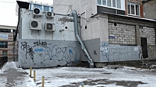Как в Калининграде волонтеры спасали «замурованных» в подвале котят
