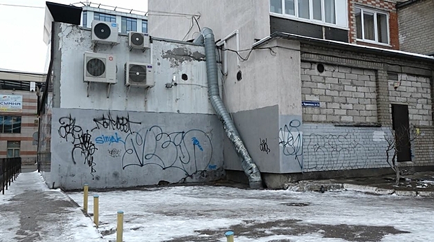 Как в Калининграде волонтеры спасали «замурованных» в подвале котят