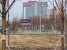 Казанским владельцам рекламных конструкций могут дать отсрочку по платежам за I квартал 2024 года