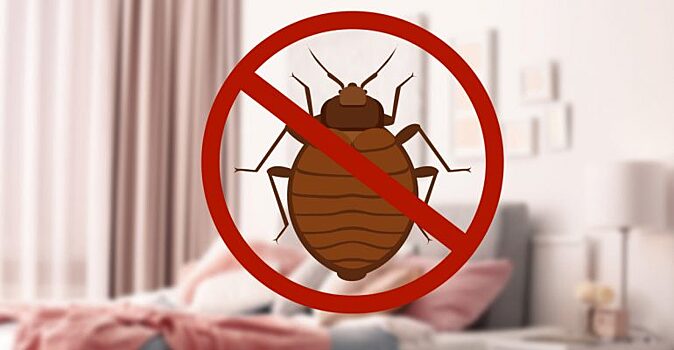 Как избавиться от тараканов в доме: 10 простых способов