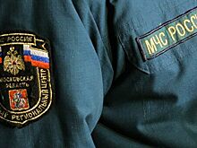 На юге Москвы ликвидировали пожар в автосервисе и магазине