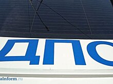 Лопатинец от испуга бросил машину на дороге и убежал через болото