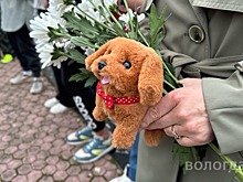 Вологжане продолжают нести цветы и игрушки к стихийному мемориалу памяти жертв крымского теракта