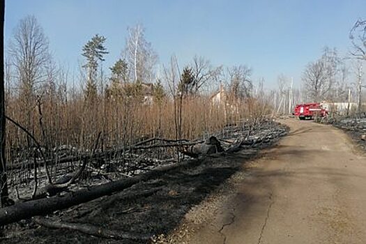 В Киеве замерили радиационный фон из-за пожаров в Чернобыле