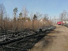 В Киеве замерили радиационный фон из-за пожаров в Чернобыле