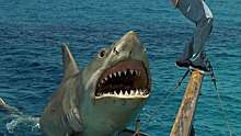 На видео попала атака огромной акулы на лодку рыбаков