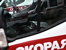 Под Воронежем при столкновении легковушки с экскаватором погиб человек