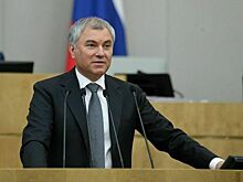 Володин: работники прокуратуры укрепляют законность и правопорядок в стране