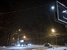 Путина просят не застраивать массово Рублевку