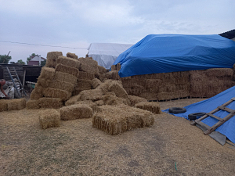 В Ставропольском крае возбуждено уголовное дело по факту кражи более 4 тонн соломы злаковых культур