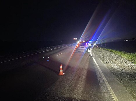 Смертельное ДТП в Новосибирском районе – погиб пешеход