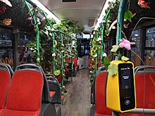 В Сочи впервые на линию вышел цветочный автобус