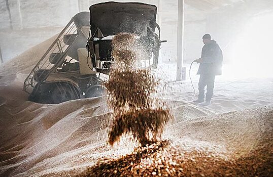 Цены на пшеницу в Чикаго начали падать после заключения «продуктовой сделки»