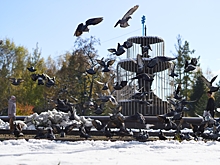 Куда пойти в Омске 14, 15 и 16 ноября