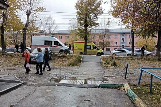 В Новосибирске завели дело против водителя скорой помощи, сбившего насмерть семилетнюю девочку