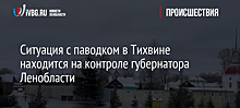 Ситуация с паводком в Тихвине находится на контроле губернатора Ленобласти