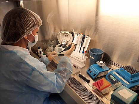 Лаборатория Россельхознадзора провела 50 ПЦР-исследований на выявление ГМО