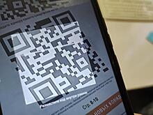 В Екатеринбурге прошёл пикет против системы ограничительных QR-кодов