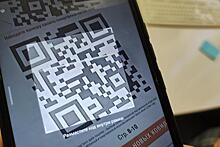 В Екатеринбурге прошёл пикет против системы ограничительных QR-кодов