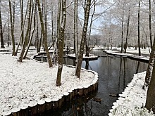 «Зимняя скользкость», ёлка в городе и пени по налогам: итоги недели в программе «Говорит Калининград»