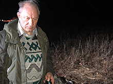 В машине депутата Госдумы от КПРФ Рашкина нашли убитого и разделанного лося