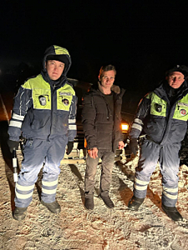 В Оренбургской области полицейские в Рождество помогли гражданам, застрявшим на трассе из-за прокола колёс