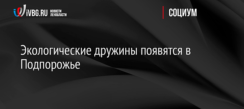 Экологические дружины появятся в Подпорожье