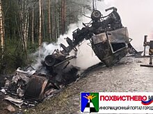 В Самарской области на трассе М 5 перевернулась и загорелась фура