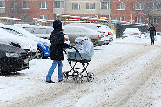 В России предложили ввести выплаты занятым хозяйством многодетным родителям