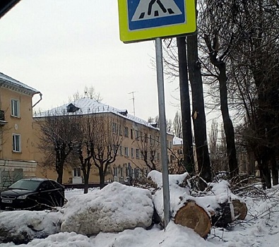 В Пензе пешеходный переход завалили бревнами