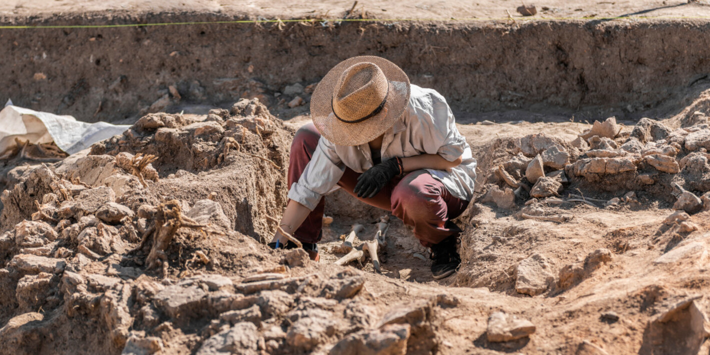 археологические раскопки. археологи обнаруживают. курган древнее захоронение.