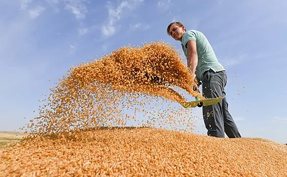 Венгрия может ввести запрет на ввоз 24 видов сельхозпродукции с Украины