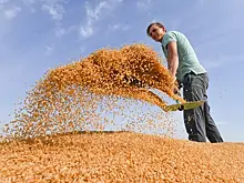 Венгрия может ввести запрет на ввоз 24 видов сельхозпродукции с Украины