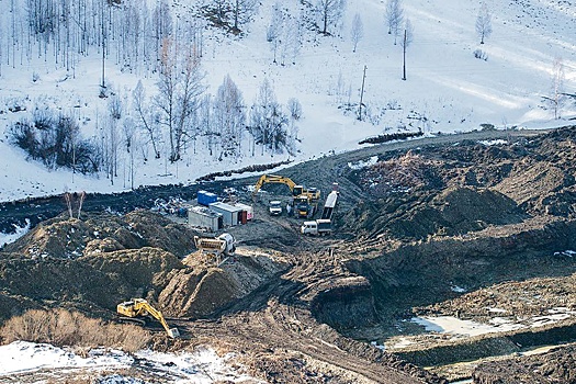 Удастся ли прекратить золотодобычу в Солонешенском районе Алтайского края