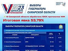 Дмитрий Азаров набрал более 83% голосов
