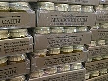 Президент посетил два проекта программы кредитования в Очамчырском районе