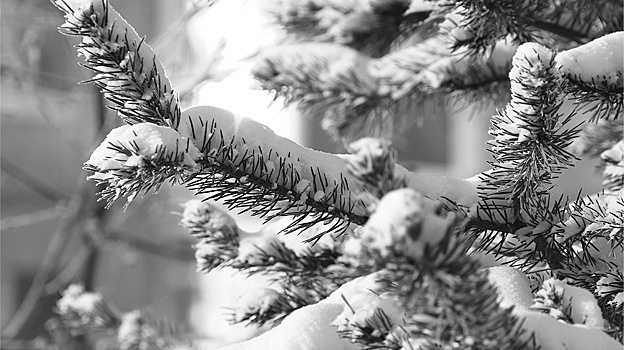 В Салехарде и Лабытнанги установился снежный покров