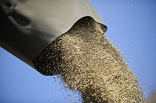 Эксперт призвал повысить технологичность сбора производства зерна