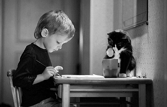 Свердловская опека забрала ребенка у женщины, воспитывавшей его 6 лет