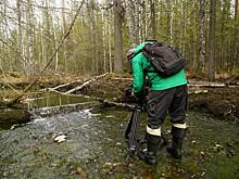Рыба исчезла, воду пить нельзя. Как карьеры УГМК загрязняют реки на севере Свердловской области?