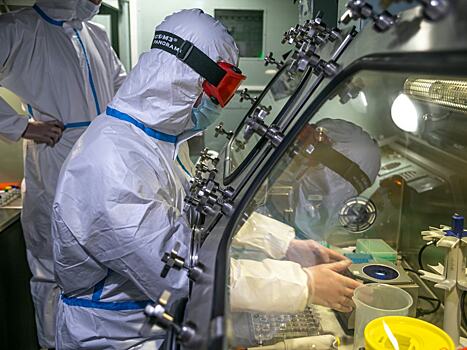 Черногория будет бесплатно тестировать туристов на коронавирус