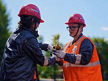 Михайловский ГОК высадил 50 тысяч деревьев в Курской области