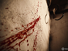 Жители Кемерова обнаружили пятно крови на дороге