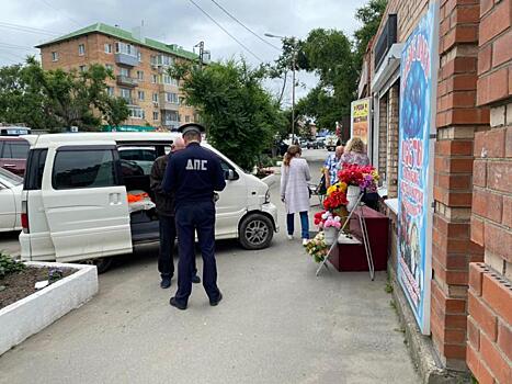Во Владивостоке пенсионер сбил насмерть пожилую женщину-пешехода