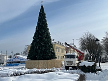 Главная ёлка Костромы чуть-чуть не дотянула до весны