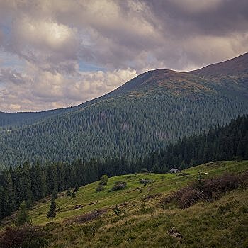 Исчезающая красота: Карпаты стали природным парком №1 в Европе