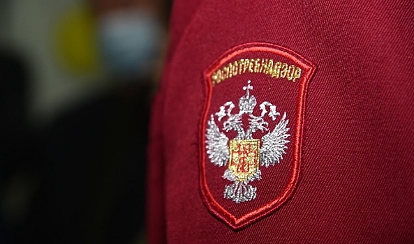 В Волгоградской области ищут сидр, убивший 16 человек