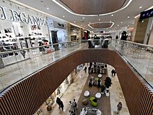 Названо число зарубежных брендов, которые появились в РФ в 2024 году